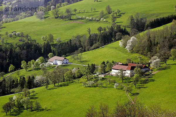 Blühende Obstbäume und Bauernhof Frühling im Mostviertel Alpenvorlandstraße Niederösterreich