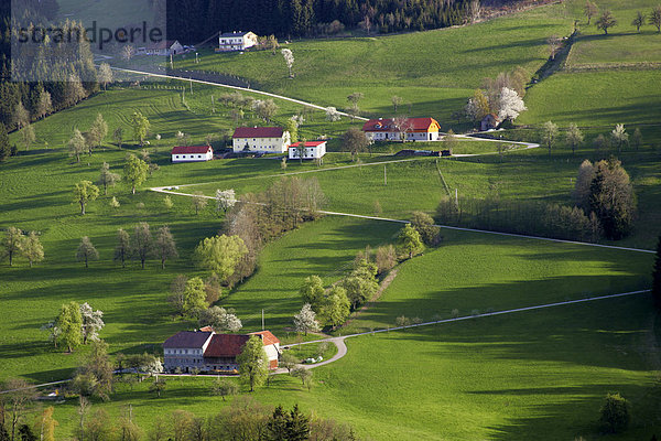 Bauernhöfe inmitten von grünen Wiesen Frühling im Mostviertel Alpenvorlandstraße Niederösterreich