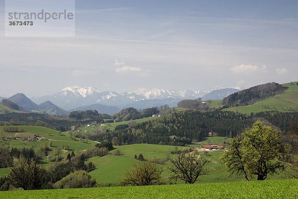 Bauernhöfe und saftige Wiesen im Hintergrund schneebedeckte Berge der AlpenMostviertel Alpenvorlandstraße Niederösterreich