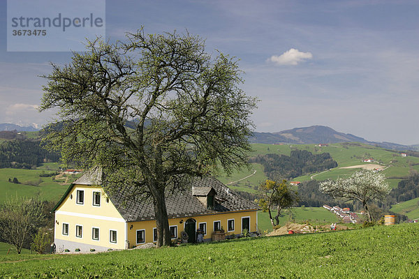 Bauernhaus im Mostviertel Niederösterreich