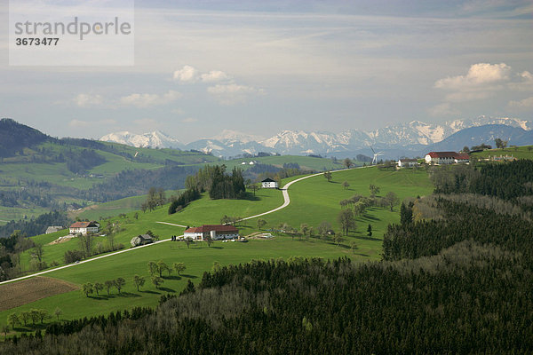 Bauernhöfe und saftige Wiesen im Hintergrund schneebedeckte Berge der AlpenMostviertel Alpenvorlandstraße Niederösterreich
