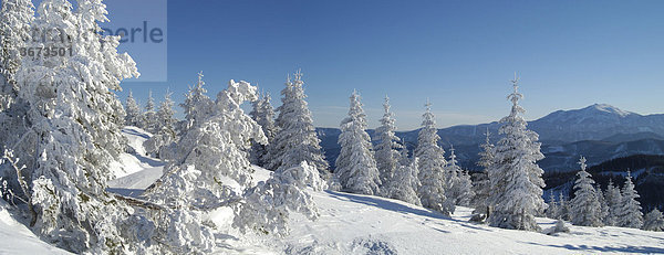 Winterliche Märchenlandschaft am Unterberg im Hintergrund Schneeberg Niederösterreich