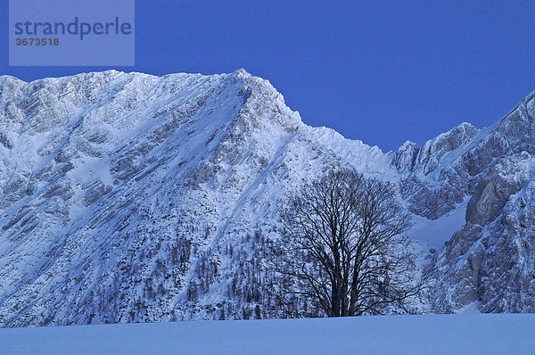 Der Berg Grimming vom Bauerndorf Krungl in der Nähe des Langlaufzentrums Bad Mitterndorf aus gesehen Steiermark Österreich