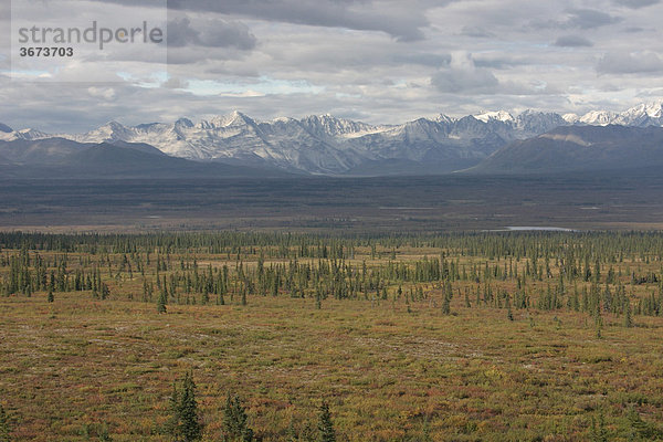 Alaska Range vom Denali Highway aus gesehen Alaska USA