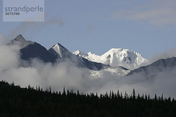 Wolkenfetzen treiben über einen Wald dahinter schneebedeckter Berg Blick vom Matanuska Gletscher Alaska USA