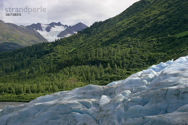 Der Exit Gletscher in der nähe des Ortes Seward Kenai Halbinsel Alaska USA