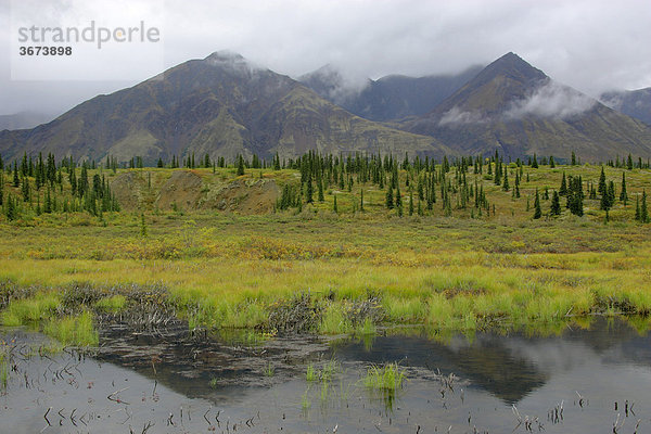 Berge der Alaska Range spiegeln sich in einem See entlang des Denali Highway Alaska USA