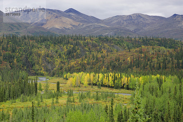 Seitenarm des Nenana Flußes und Berge der Alaska Range Denali Highway Alaska USA