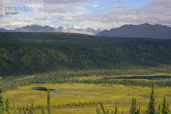 Nenana Fluß und Berge der Alaska Range Denali Highway Alaska USA