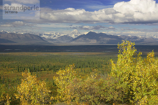 Berge der Alaska Range vom Denali Highway aus gesehen Alaska USA