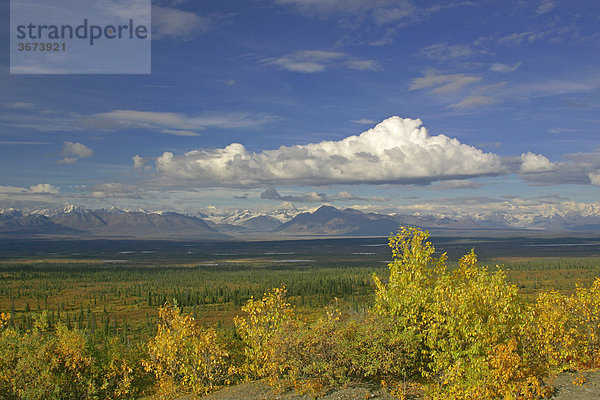 Berge der Alaska Range vom Denali Highway aus gesehen Alaska USA
