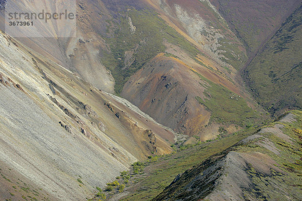 Bunt gefärbter Berghang im Denali Nationalpark Alaska USA