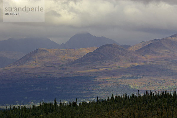 Der Denali Nationalpark im Herbst im Gebiet zwischen Riley Creek und Savage River Alaska USA