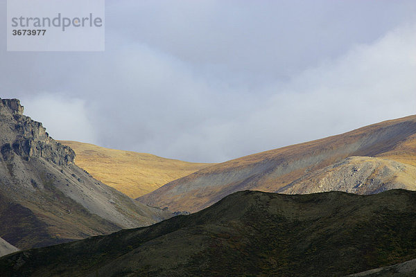 Der Denali Nationalpark im Herbst im Gebiet zwischen Riley Creek und Savage River Alaska USA