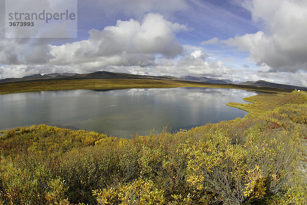 Ein See entlang dem Denali Highway Alaska USA