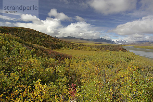 MacLaren Fluß und Gletscher Denali Highway Alaska USA