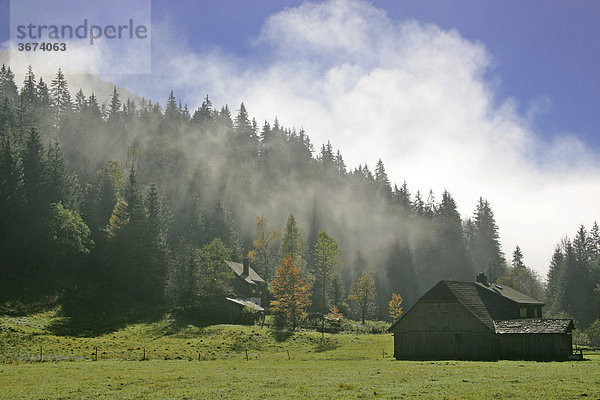 Haus und Scheune Nebelstimmung am Morgen im Brücklergraben bei Turnau Steiermark Österreich