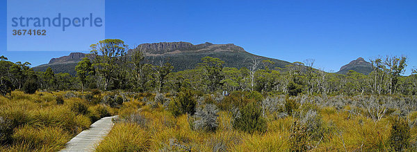 Plankenweg durch Narcissus Plain am Overland Track im Cradle Mountain Nationalpark Tasmanien Australien