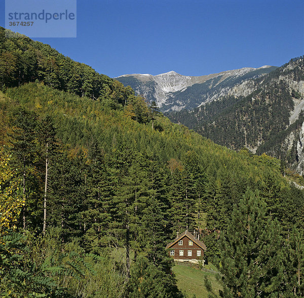 Blick zum Gipfel des Schneebergs Klosterwappen von Hirschwang Niederösterreich Österreich