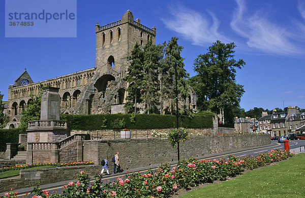 Ruine der Kathedrale von Jedburgh Schottland Großbritannien