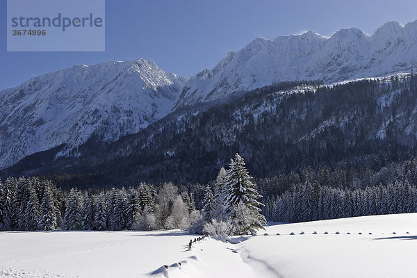 Tief verschneites Grimming Massiv Krungl Steiermark Österreich