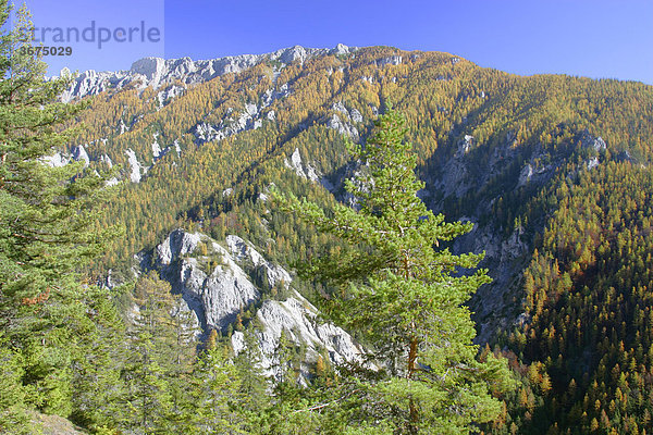 Blick auf Teil der Bürgeralpe Steiermark Österreich