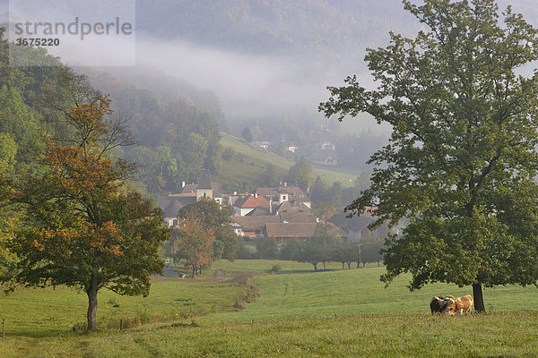 Blick auf den Ort Furth im Triestingtal Niederösterreich