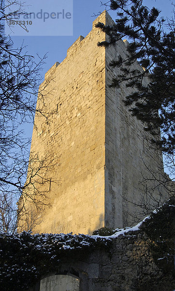 Der Dreiecksturm der Ruine Rauheneck Kurstadt Baden Niederösterreich