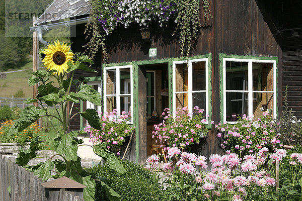 Altes Holzhaus mit schönem Blumengarten in Hinterwildalpen in der Berggregion Gesäuse Steiermark Österreich Holzhaus