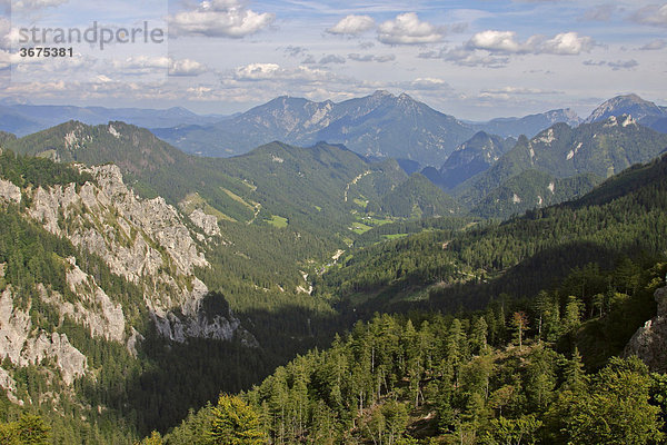 Lurgbachtal und Lurgmauer Blick nach Hinterwildalpen in der Bildmitte Berggregion Gesäuse Steiermark Österreich