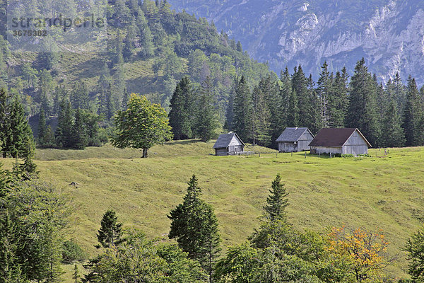 Almhütten auf der Heimoseralm Berggregion Gesäuse Steiermark Österreich