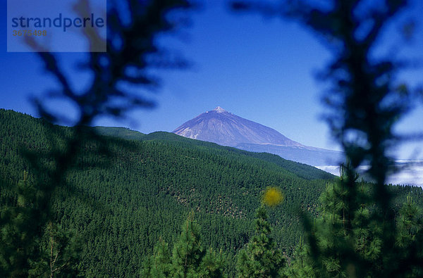 Teide  Teneriffa