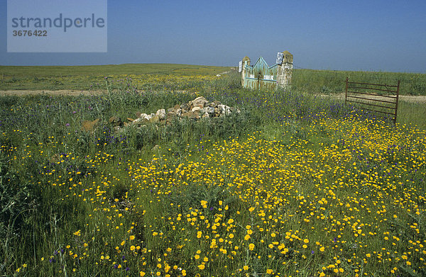 Frühling in der Extremadura