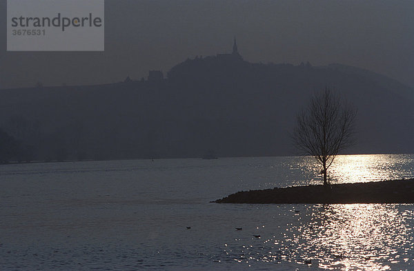 DEU  Bingen/Deutschland  HG Rochuskapelle bei Bingen/Rhein im Winter mit einzelnen Baum auf Flussbarriere  stimmungsvolle Gegenlichtaufnahme  Beginn des Mittleren Rheintales  einem Weltkulturerbe