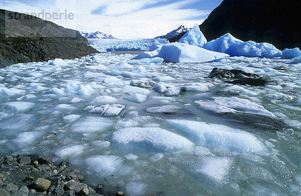Eisschollen im See des Grey-Gletschers im Nationalpark Torres del Paine Chile