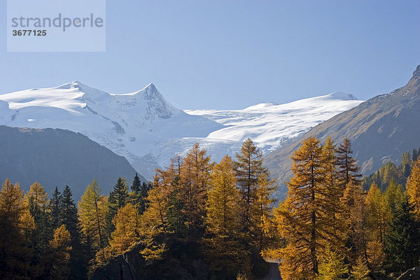 Nationalpark Hohe Tauern Gschlöss Venedigergruppe Großvenediger Schlatenkees Osttirol Österreich