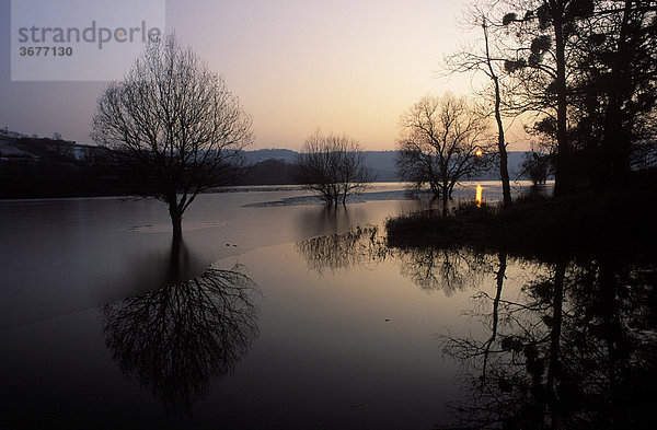 Reservoir de Grosbois Stausee Abendstimmung Burgund Frankreich
