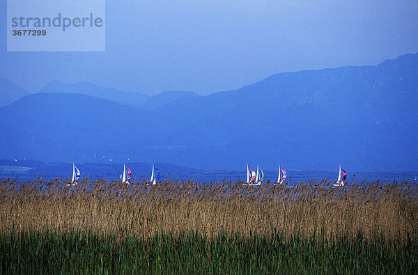 Chiemsee - Oberbayern