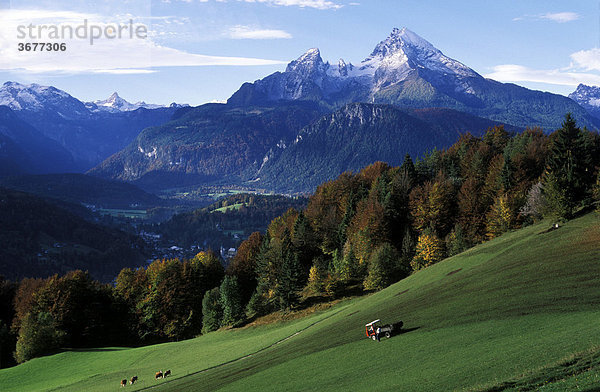 Watzmann - Blick von Kneifelspitze - Berchtesgadener Land - Oberbayern