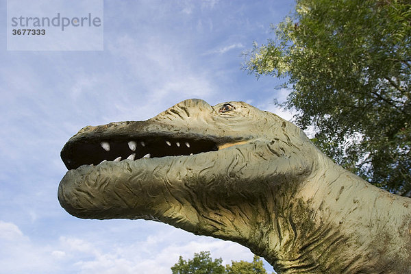 Dinosaurier Modell Ceratosaurus vor Bürgermeister-Müller-Museum in Solnhofen im Altmühltal - Mittelfranken