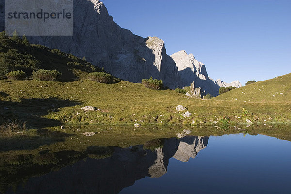 Viehtränke am Überschalljoch Karwendelgebirge - Tirol Österreich