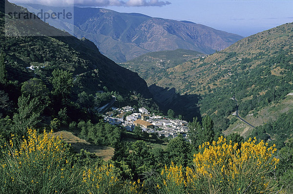 Spanien Andalusien Granada Sierra Nevada Alpujarras Pampaneira