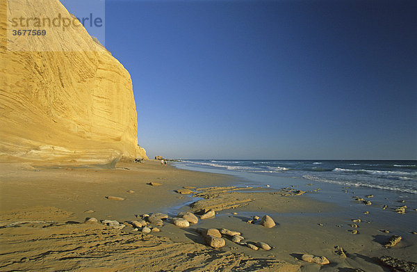 Spanien Andalusien Costa de la Luz C·diz Conil de la Frontera Playa de Fontanilla