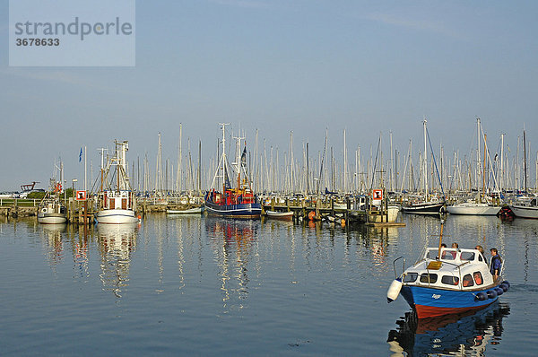 Hafen in maasholm