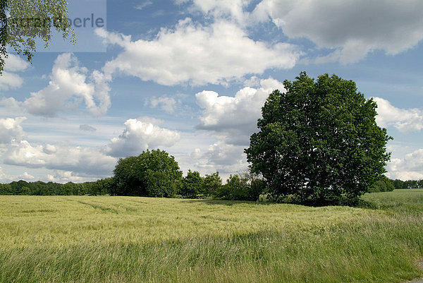 Landschaft