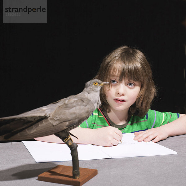 Junge malt einen Vogel