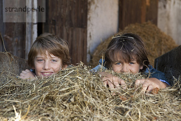 Zwei Jungen  die sich im Heu verstecken  glücklich.
