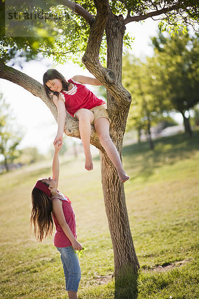 Mädchen hilft Freund klettern Baum