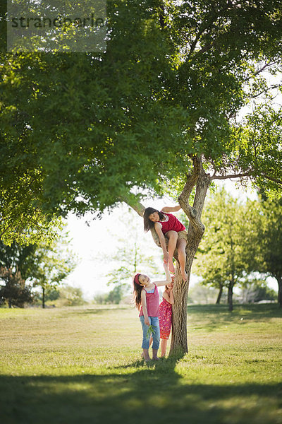 3 junge Mädchen spielen unter einem Baum