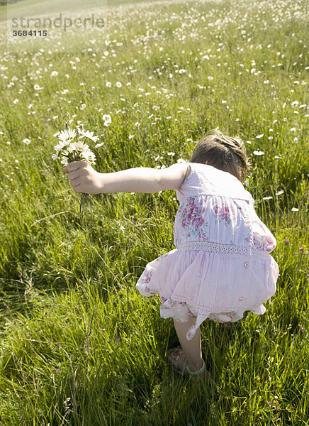 Mädchen pflückt Wildblumen auf der Wiese